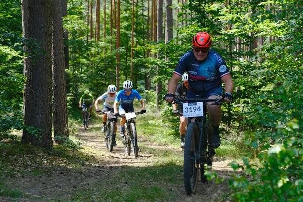 Les règles du judo que chaque judoka doit connaître