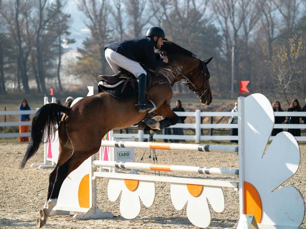 Peut-on améliorer la capacité de récupération rapide entre les rounds en boxe grâce à des exercices de musculation spécifiques?